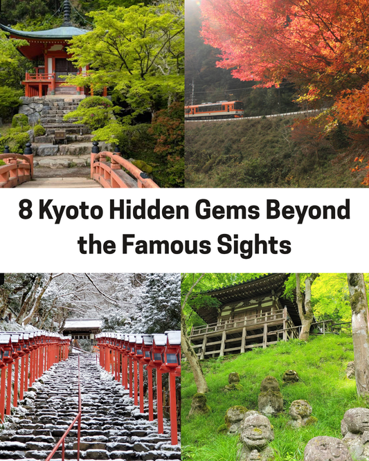 Moss covered temple garden surrounded by trees at one of Kyoto’s lesser known attractions.